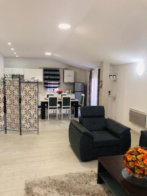 Apartman Mona ポドゴリツァ エクステリア 写真