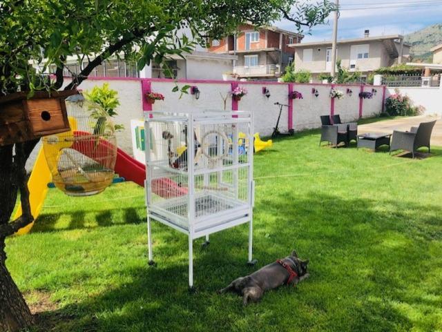 Apartman Mona ポドゴリツァ エクステリア 写真